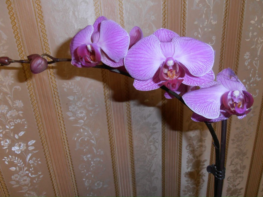 Айнур Сабиров | Казань