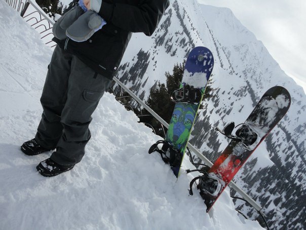 Елена Степырева | Birmingham