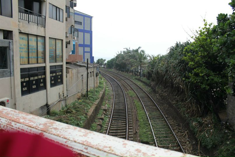 Марго Шангареева | Санкт-Петербург