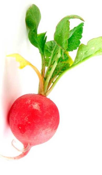 Дарья Афанасьева | Минск