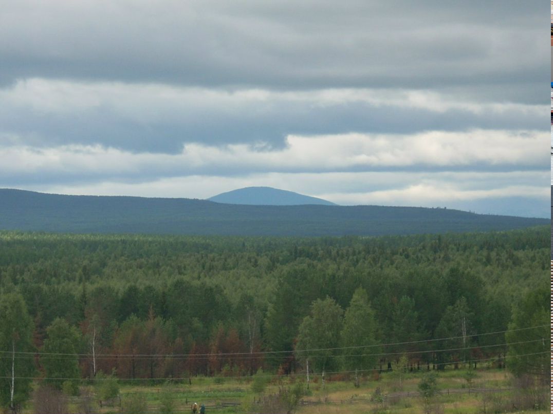Александр Заровный | Екатеринбург