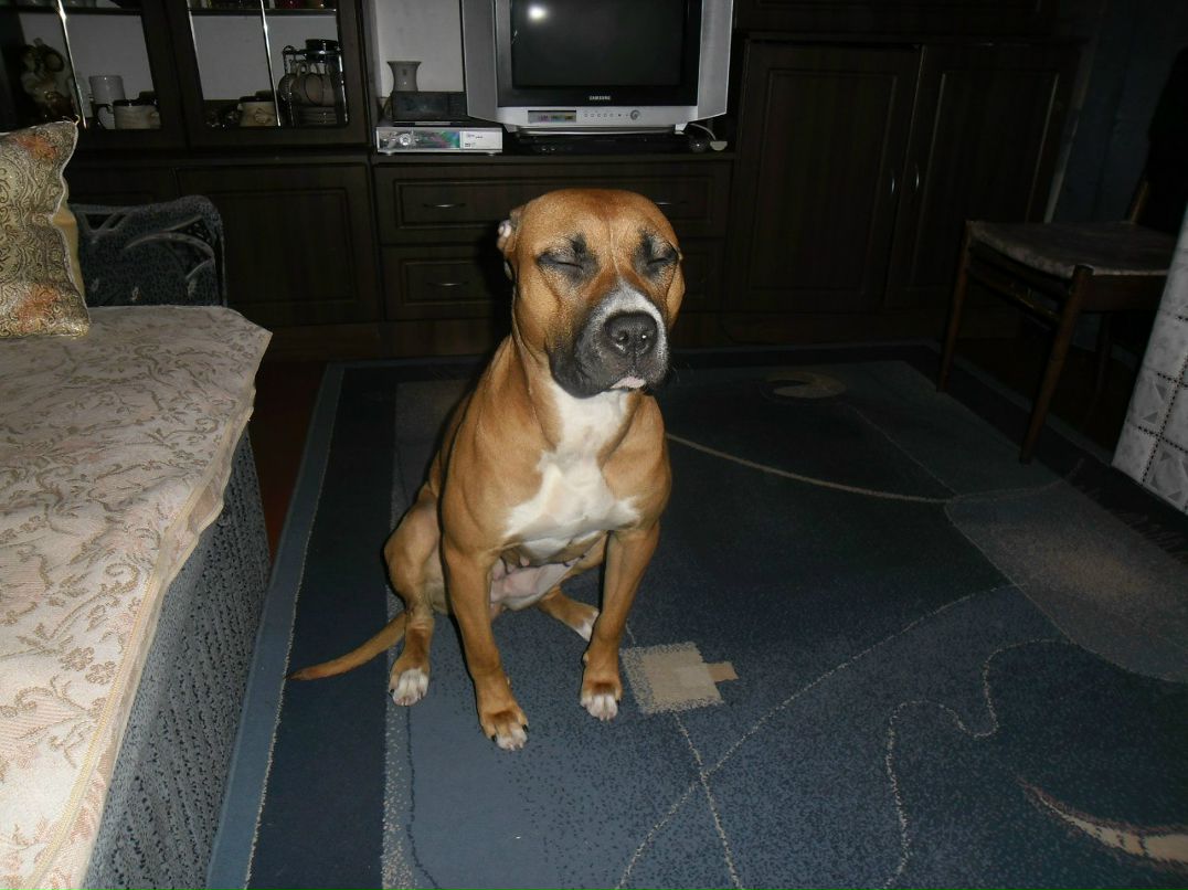 Александр Александров | Запорожье