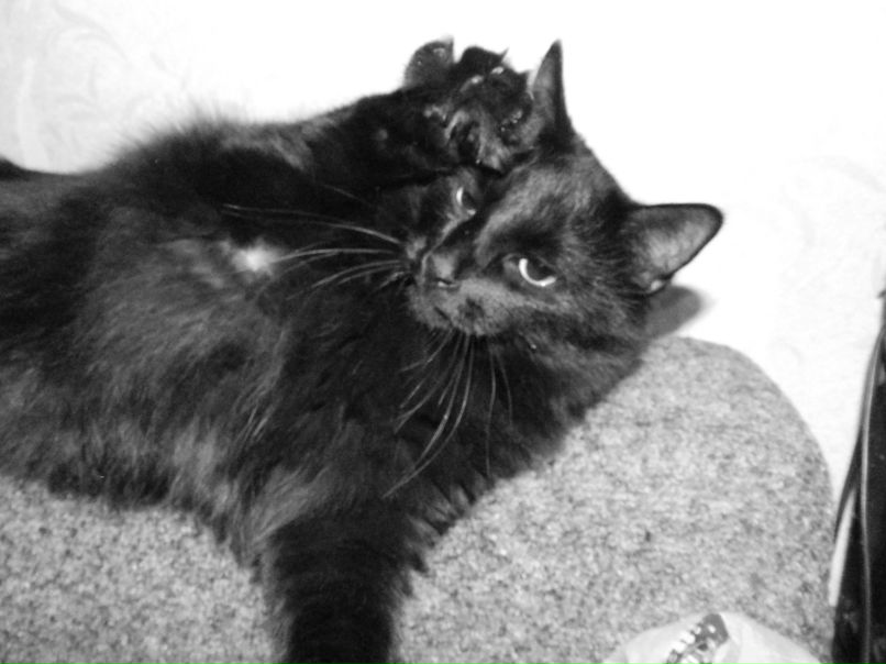 Паша Табунов | Кронштадт