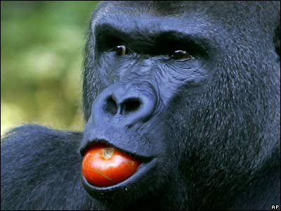 Сергей Иванов | Санкт-Петербург