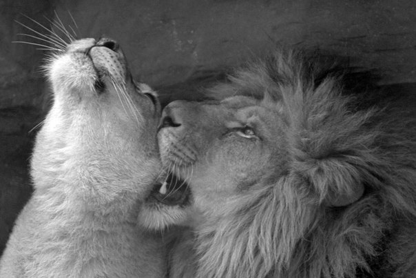 Fedoz Харченко | Москва