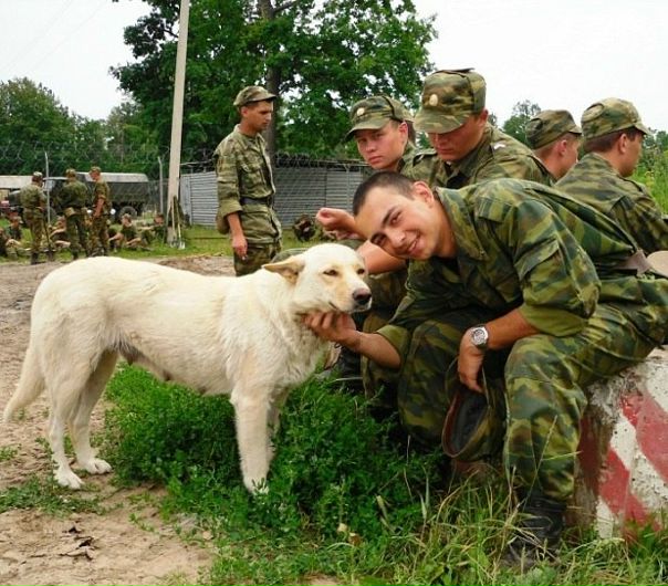 №92, Евгений Эрматов №92, Евгений Эрматов