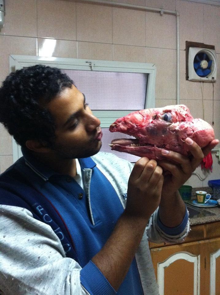 Hesham Mokhtar | Cairo