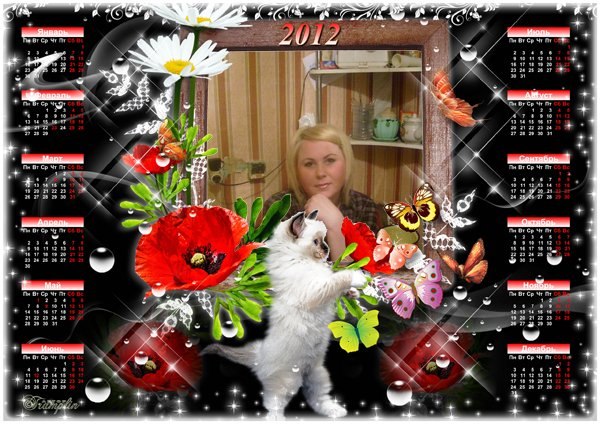 Владимир Власов | Вологда