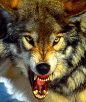 №1, Алексей Ендов №1, Алексей Ендов