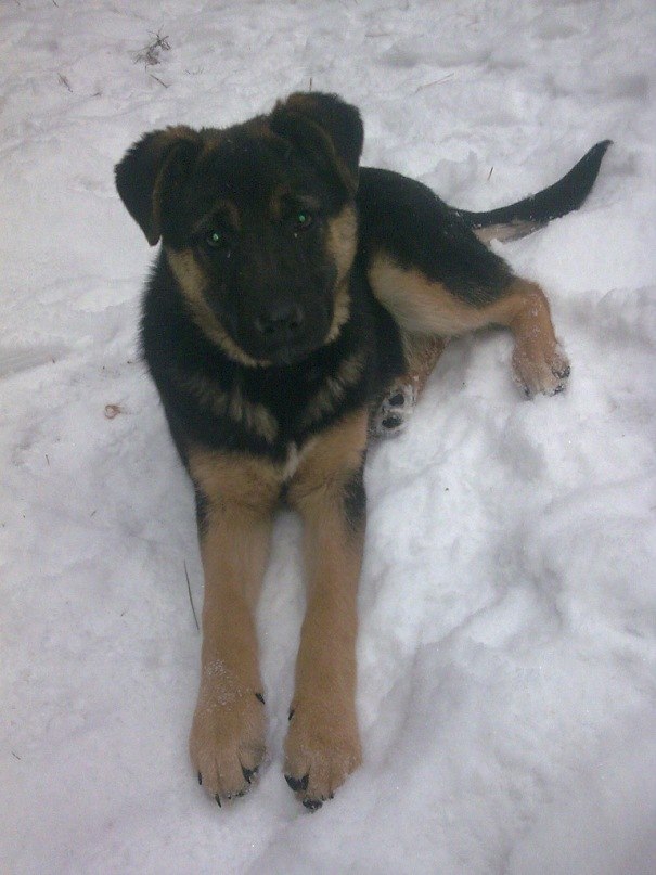 Паша Никулочкин Face-control | Калуга