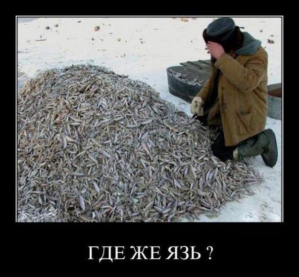 Макс Романенко | Сумы