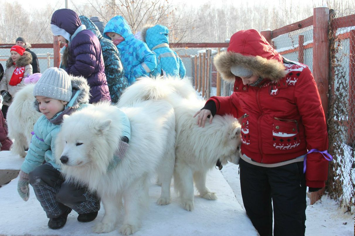 Сергей Щербенко | Челябинск