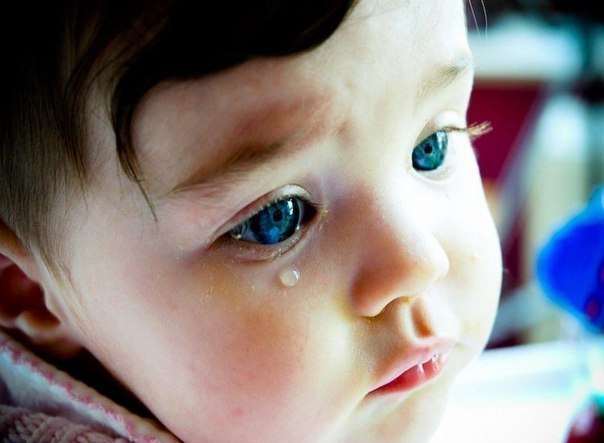 Павел Павлов Сергеевич | 