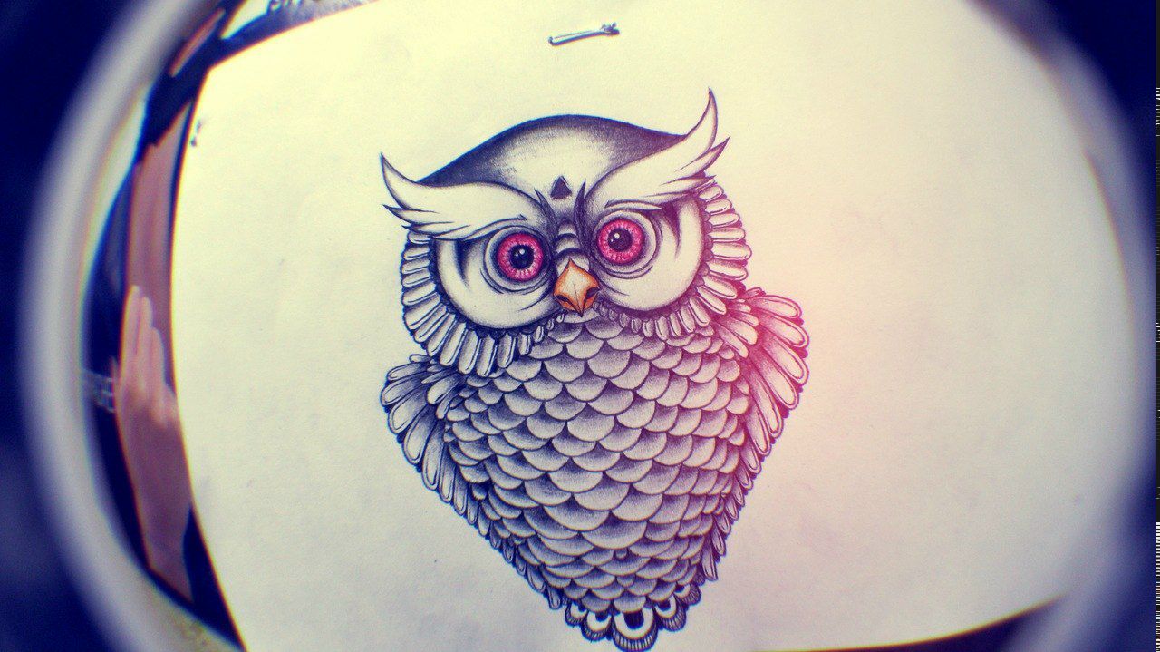 Дарья Парменова | Вологда