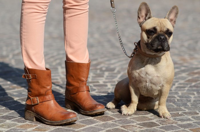 Виктория Саенко | Киев