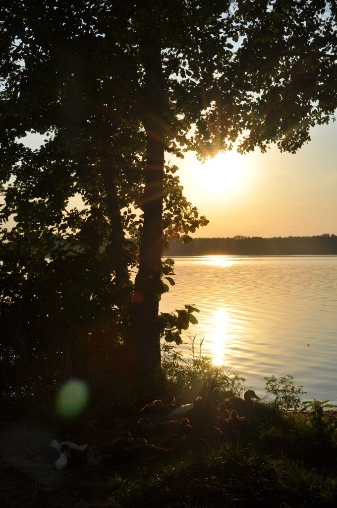Ксения Столбова | Москва