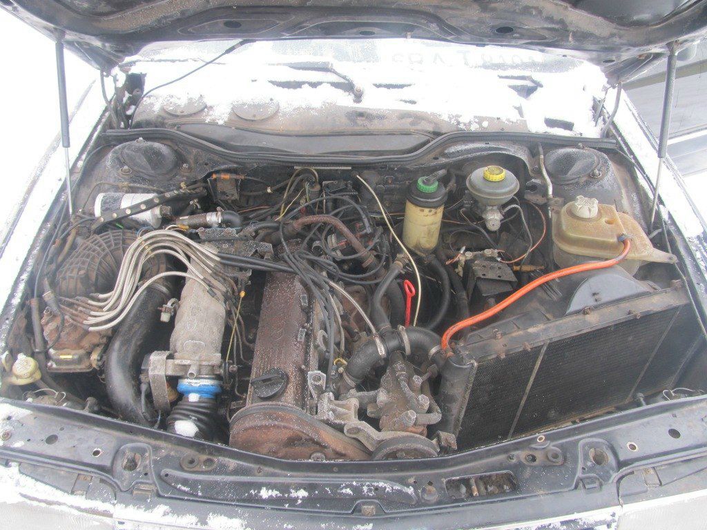 Дмитрий Митуневич Александрович | Минск