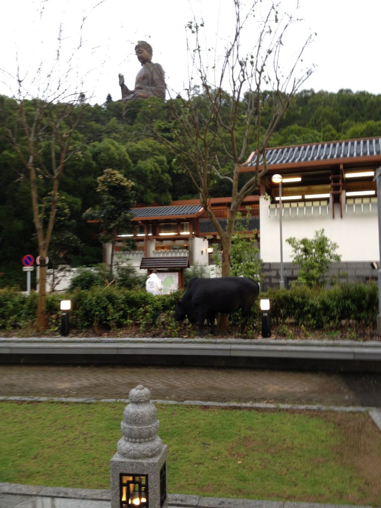 Надя Чешкова | Milano