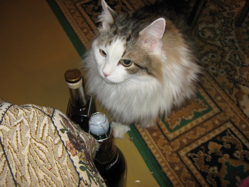 Надежда Михайлова | Москва