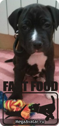 Евгения Ермолина | Москва