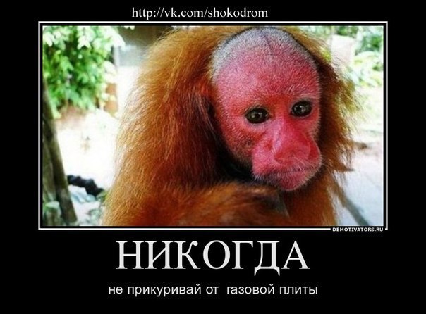 Евгений Шаповалов | Ростов-на-Дону