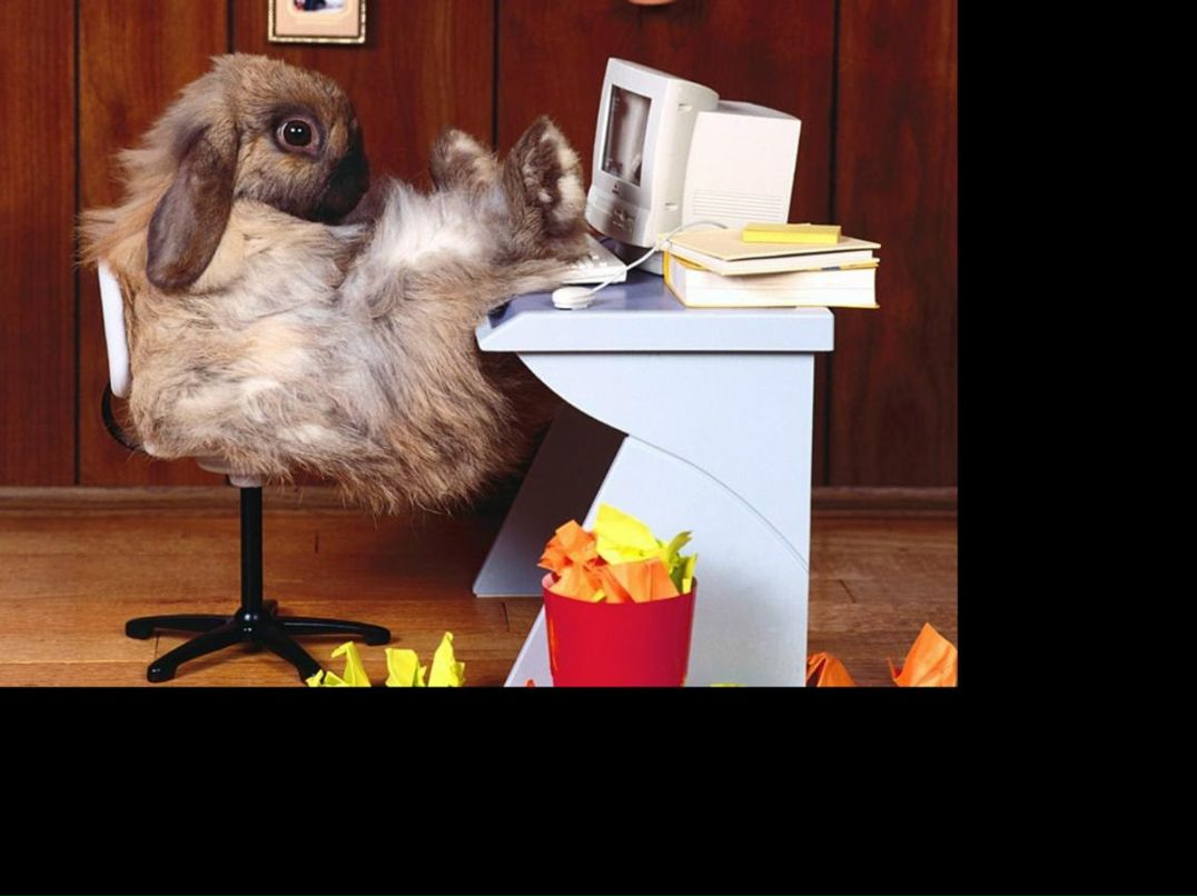 Вадим Зиновьев | Мукачево