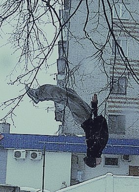 Михаил Шохонов | Тамбов