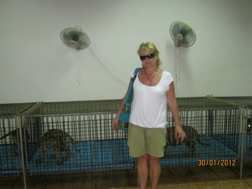 Татьяна Звягина | Староминская