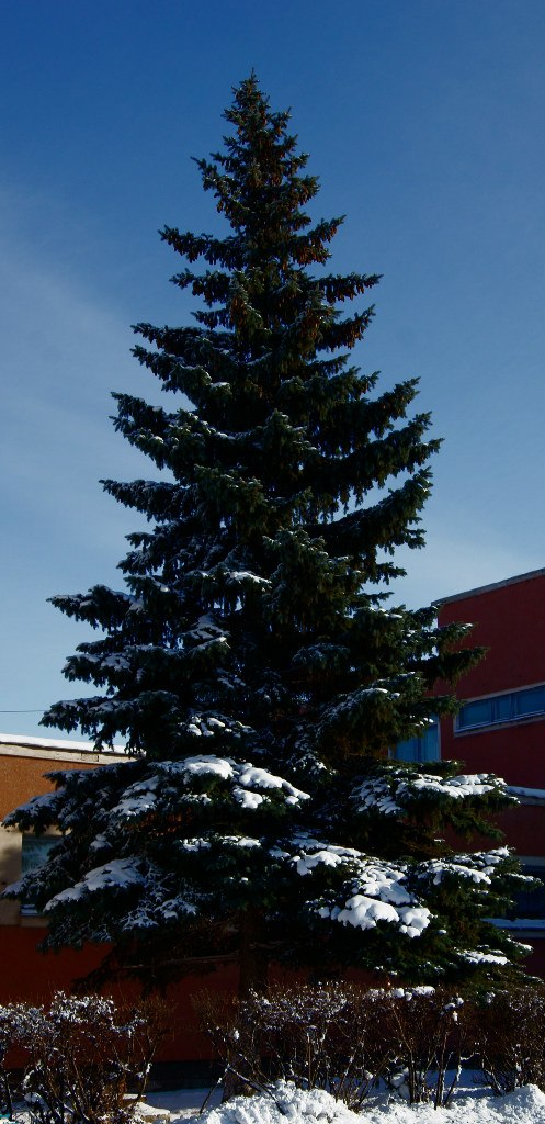 Максим Ергунов | Магнитогорск