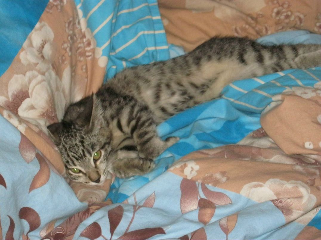 Лариса Ганченко | Норильск