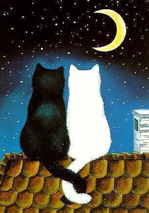 Инна Левко | Черновцы