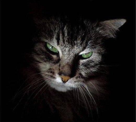 Николай Дробот | Пятигорск