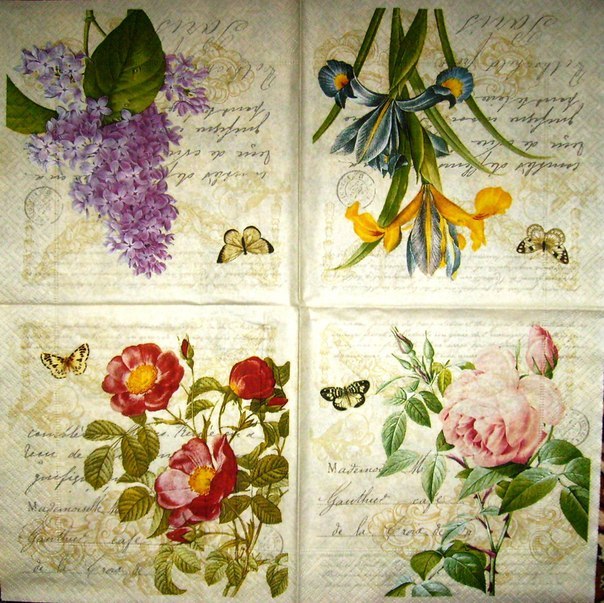 Татьяна Чеснокова | Миасс