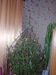 Света Шиганова фотография #49