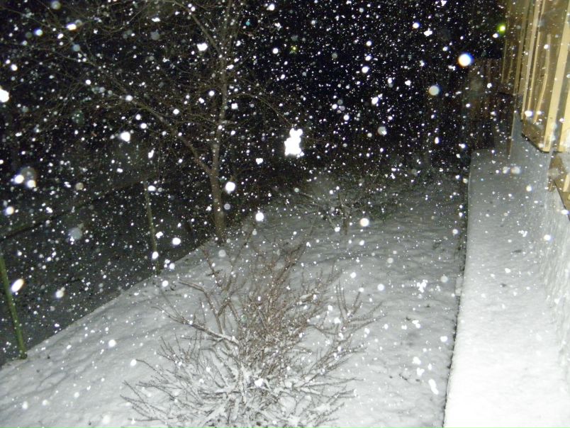 №124, Зоя Матузова, 40 лет, Улан-Удэ №124, Зоя Матузова, 40 лет, Улан-Удэ