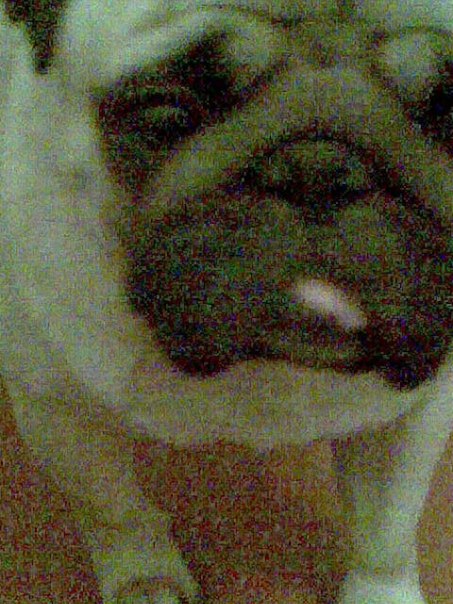 №86, Алла Саббатовская, Ашхабад №86, Алла Саббатовская, Ашхабад