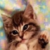 Аватар: Юленька Костиря