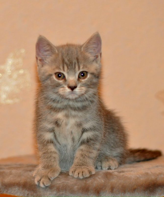 Ольга Скобелева(Полякова) | Псков