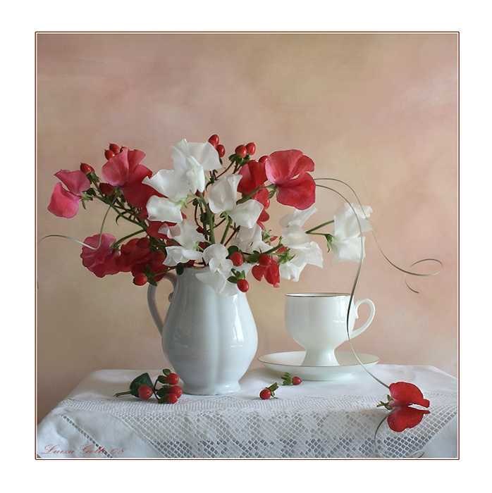 Mira Li | Севастополь