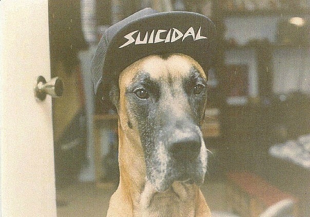 №64, Олег Ящук, 38 лет, Москва, Россия №64, Олег Ящук, 38 лет, Москва, Россия