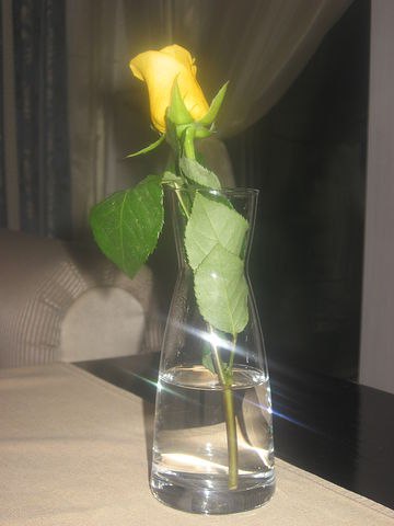 Надя Богачёва | Москва