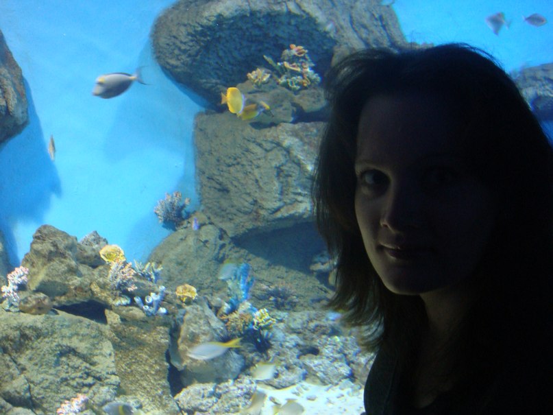 Ольга Логинова | Москва