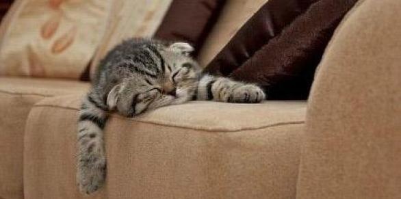 №81, Алина Исмагилова, 38 лет, Казань №81, Алина Исмагилова, 38 лет, Казань