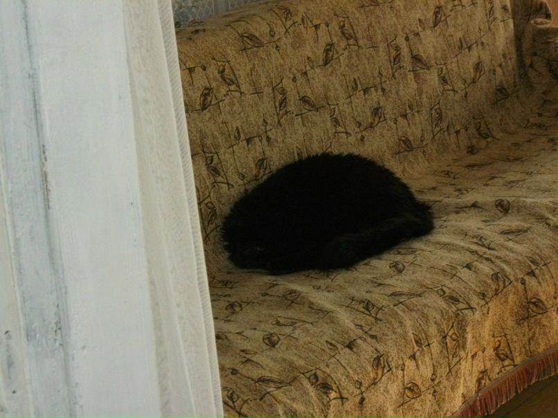 Сергей Паршин ZVEZDEC | Томилино