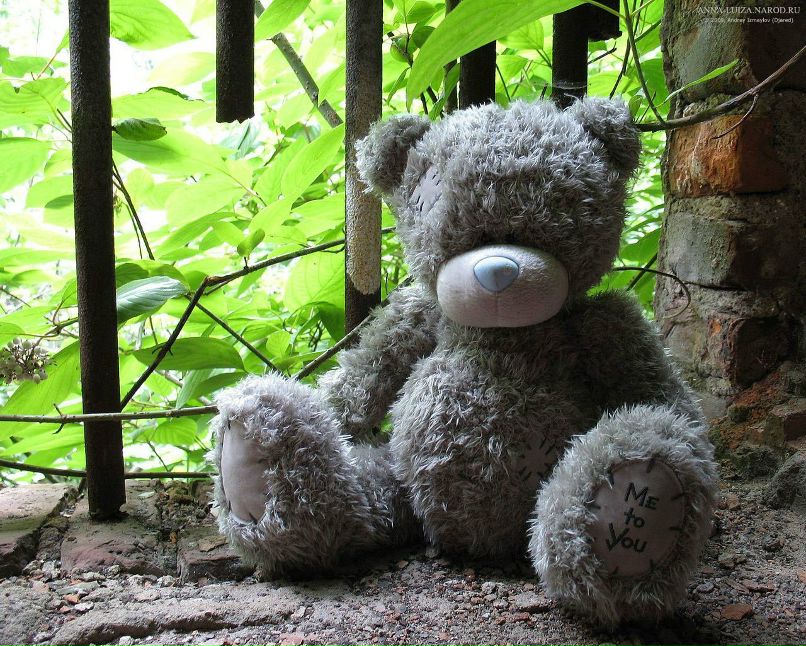 Мария Авраменко | Харьков