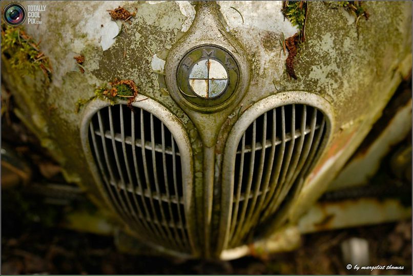 Сергей Толмачёв | Санкт-Петербург