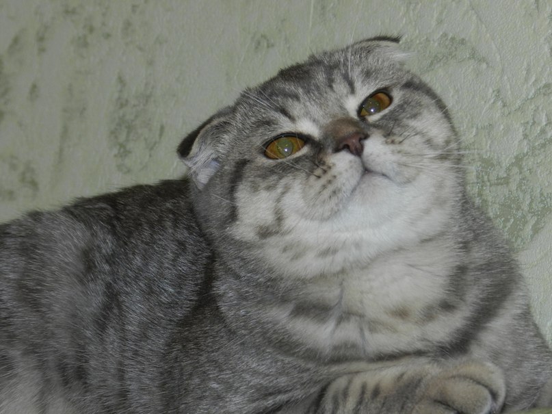 Алёна Кучера | Санкт-Петербург