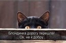 №29 Лёха Бердюгин