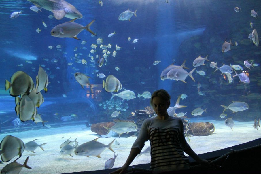 №67, Яна Конторович, 39 лет, Запорожье №67, Яна Конторович, 39 лет, Запорожье