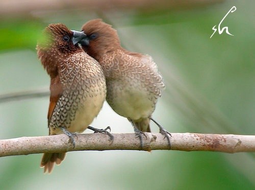 Татьяна Литвинова | Киев